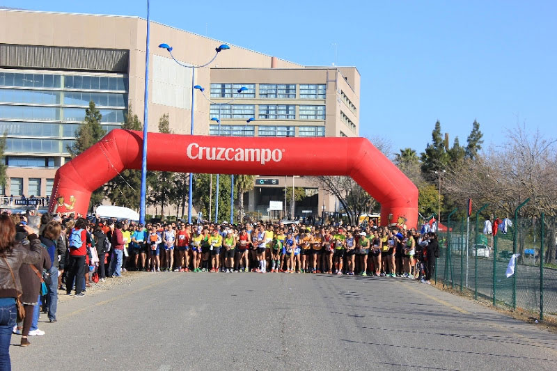 XVIII.- MEDIO MARATON  ISLA DE LA CARTUJA 2013