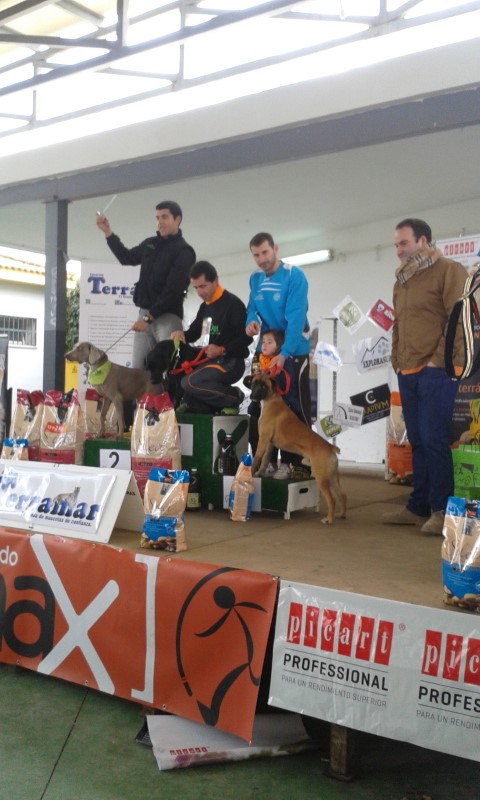 II.- CANICROSS  DE PRIEGO