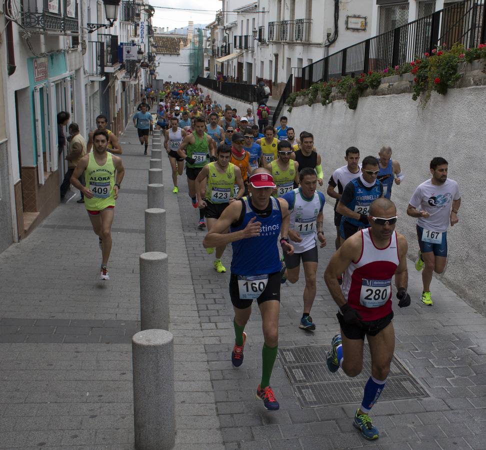 XVI.- MEDIA MARATON   ALORA