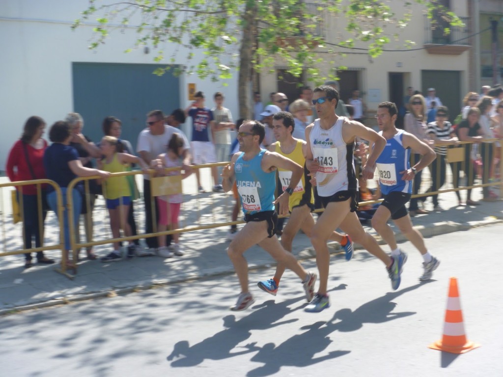 XII.-MILLA NUEVA CARTEYA