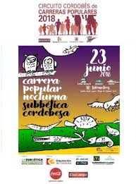 V.- CARRERA NOCTURNA SUBBETICA CORDOBESA